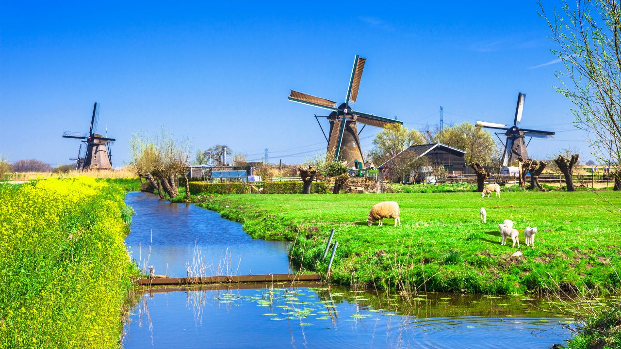 Warum die sommerferien niederlande besuchen?